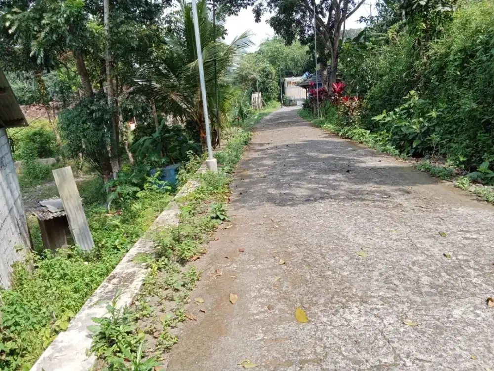 Dijual Tanah 1Jt /m SHM Pekarangan 5 Menit Kantor Kapanewon Turi