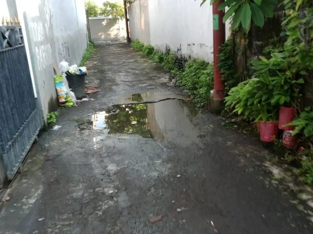 JUAL TANAH LANGKA BAGUS RENON