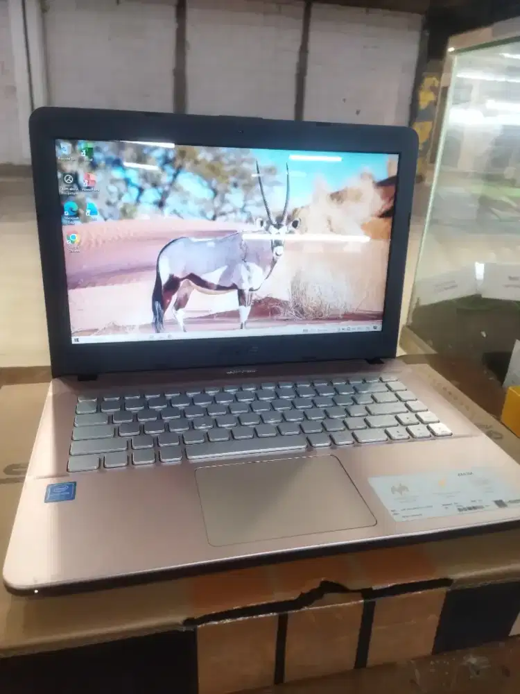 Asus VivoBook 14 Rose Gold