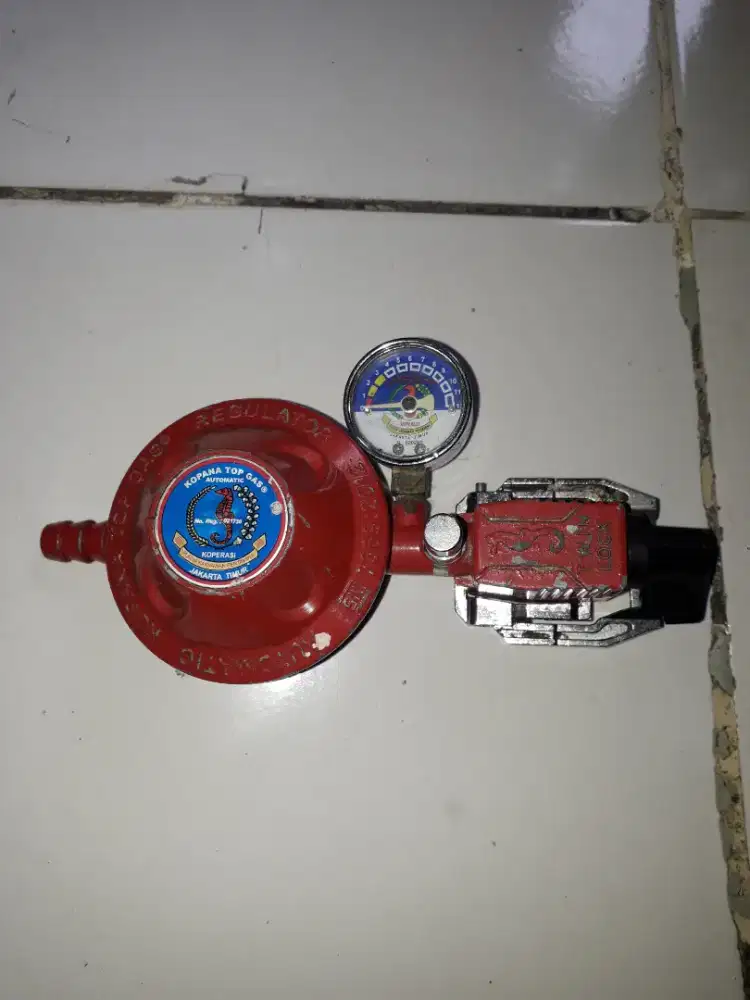 Ragulator kopana Top Gas