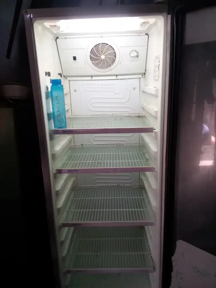 showcase polytro jumbo