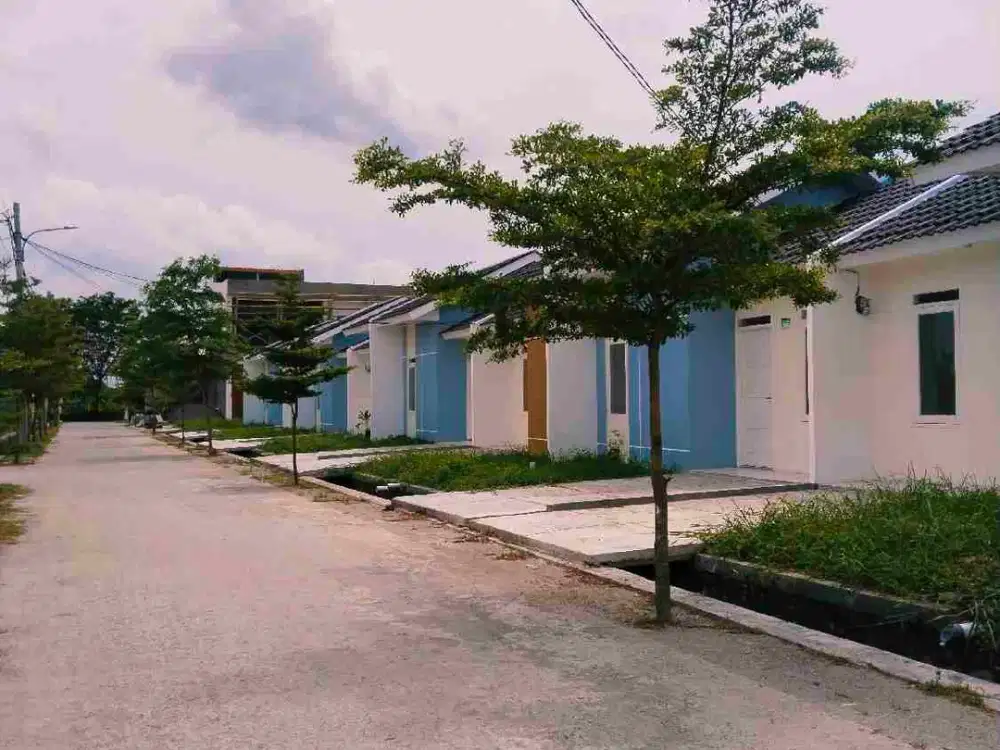 Tahun Baru Rumah Baru