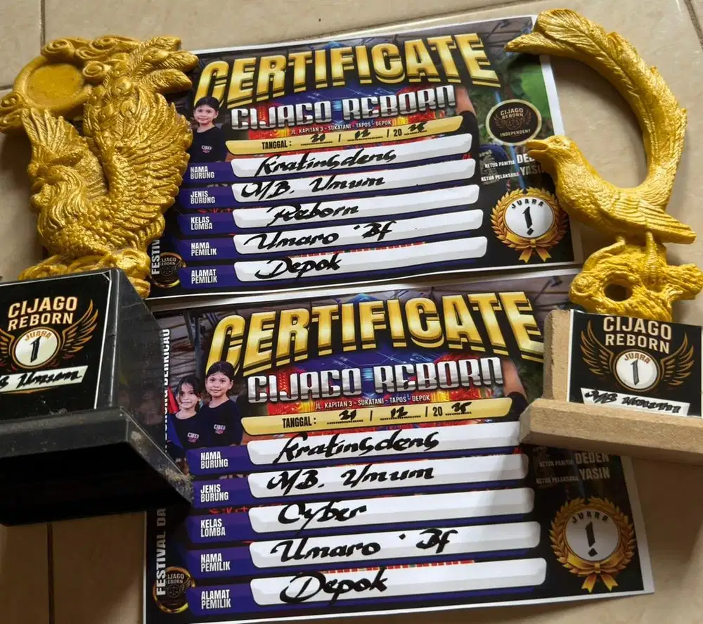 murai batu mapan prestasi anget