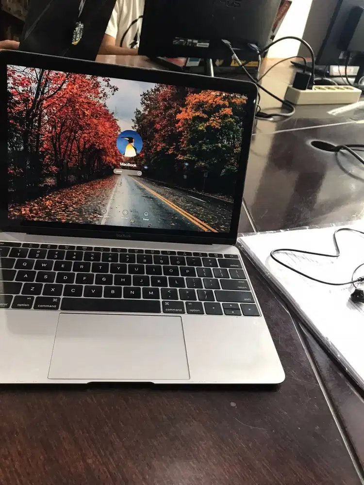 MacBook retina 2015