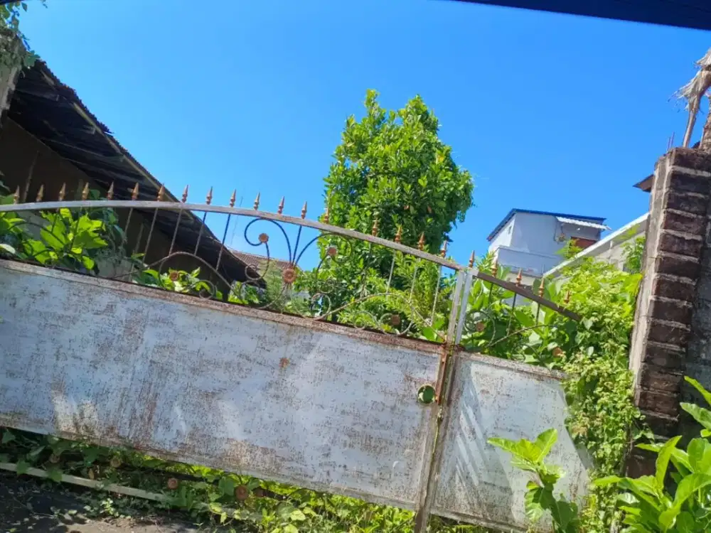 Disewakan Tanah Cocok untuk Gudang Atau Rumah Di Area Renon