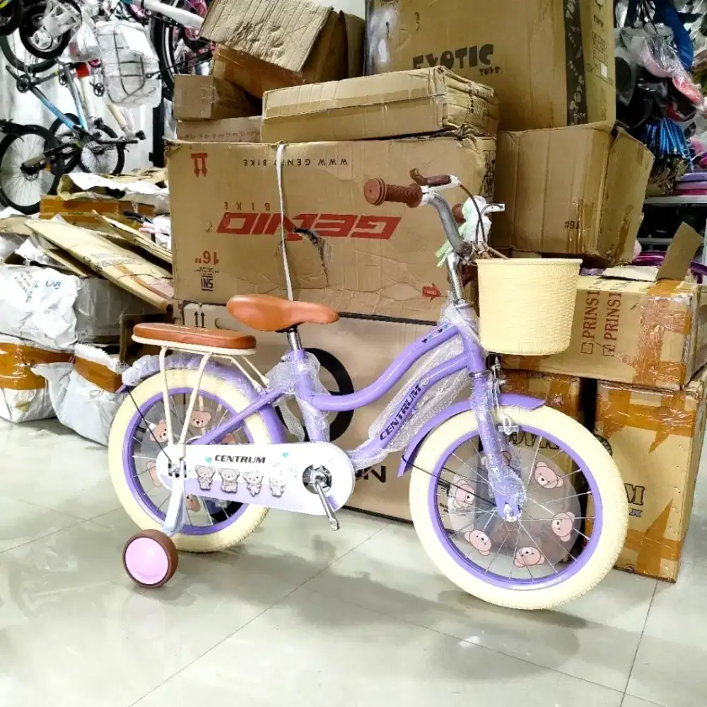 Sepeda Anak Ctb Centrum super cakep berkualitas uk12 16 18