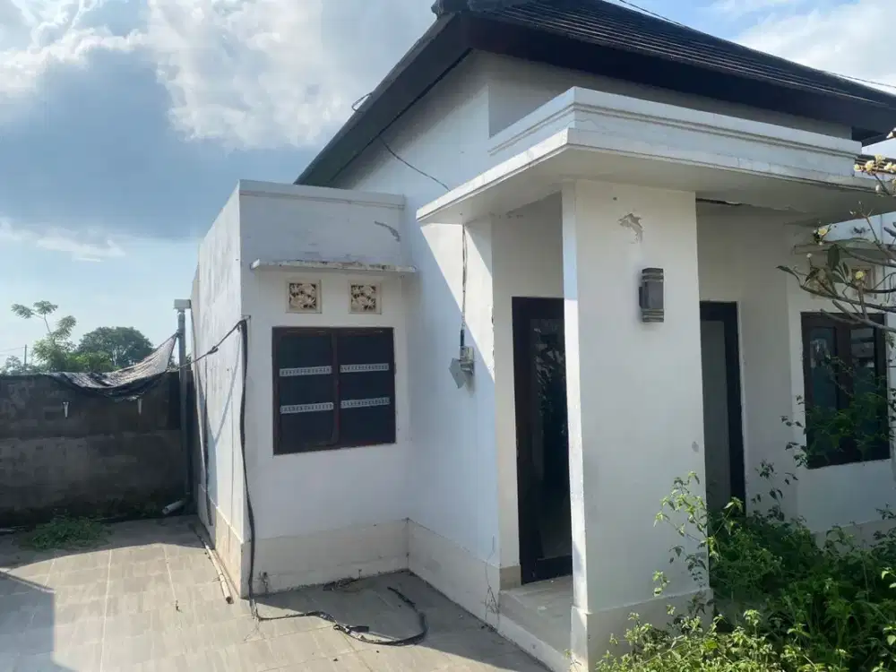 DIJUAL 1 BIDANG TANAH DENGAN TOTAL LUAS 100 M2 BERIKUT BANGUNAN - BULELENG