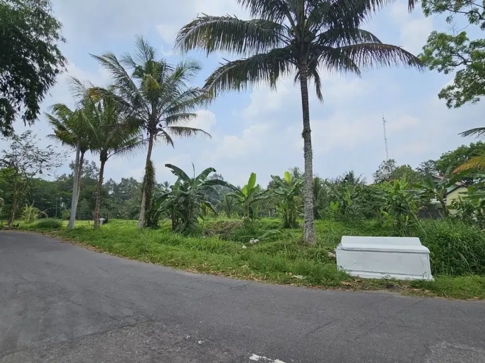 Tanah SHM Cocok untuk Hunian Private Villa di Utara Jogja