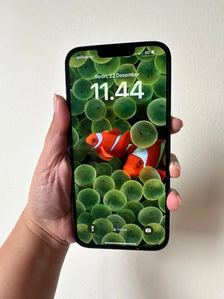 iPhone 13 ProMax 256 Resmi BC permanen spt ibox