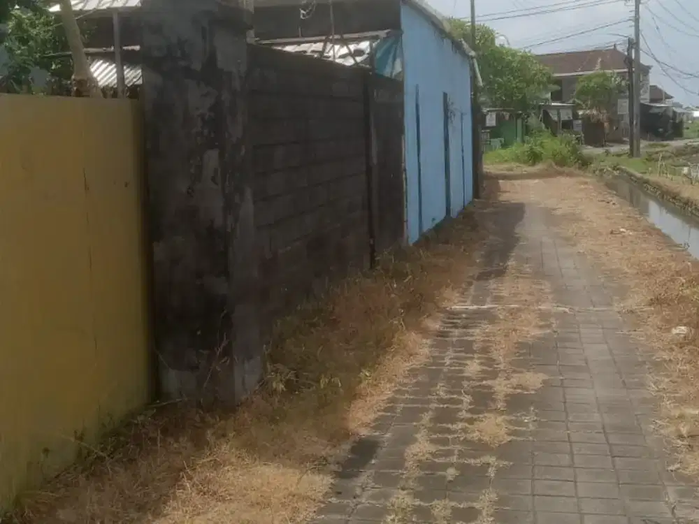 DIJUAL TANAH LANGKA DENGAN VIEW SAWAH – INVESTASI EMAS DI BADUNG ( IV / LM )