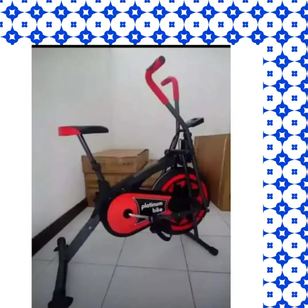 Sepeda statis Platinum Bike alat olahraga YSN-743