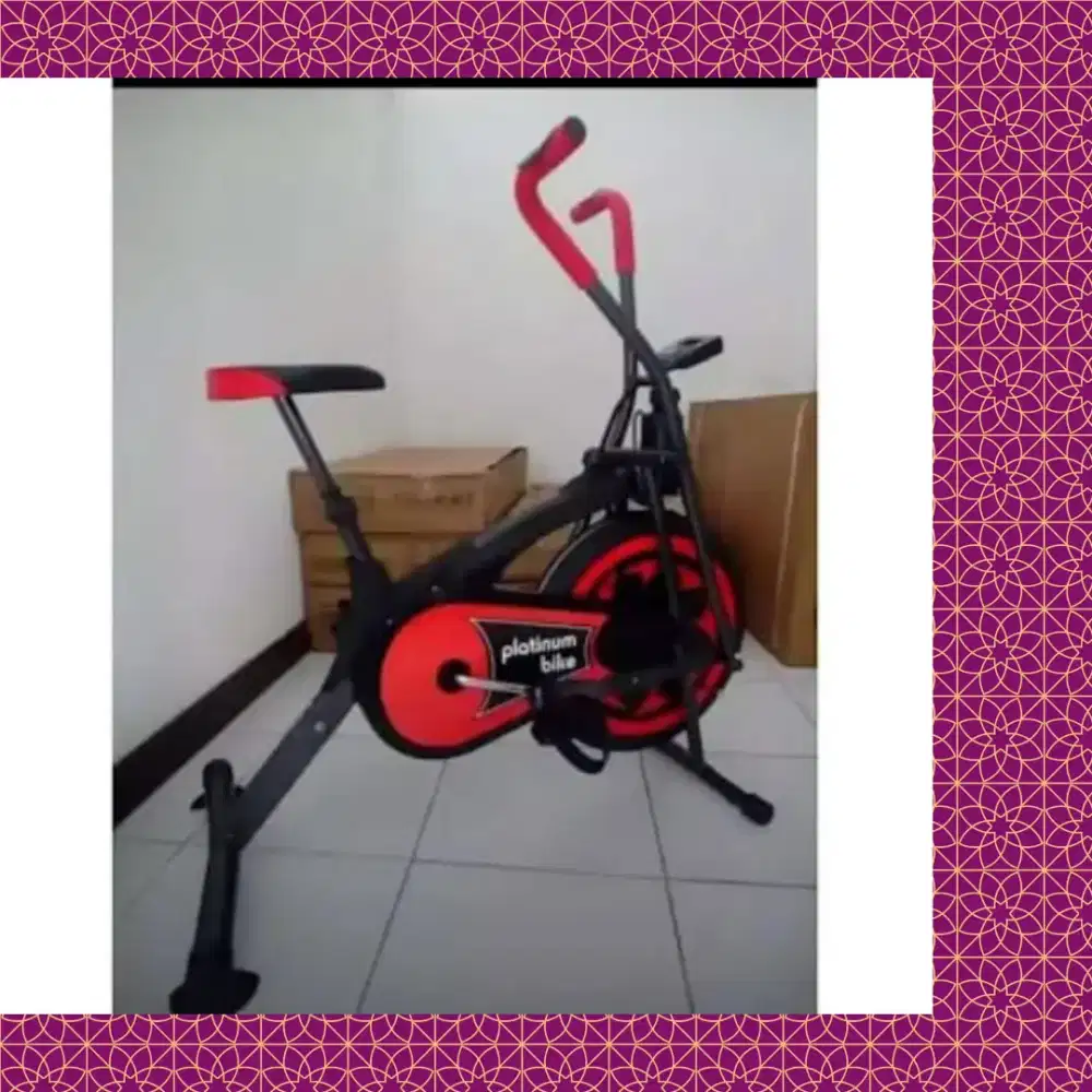 Sepeda statis Platinum Bike alat olahraga YSN-743
