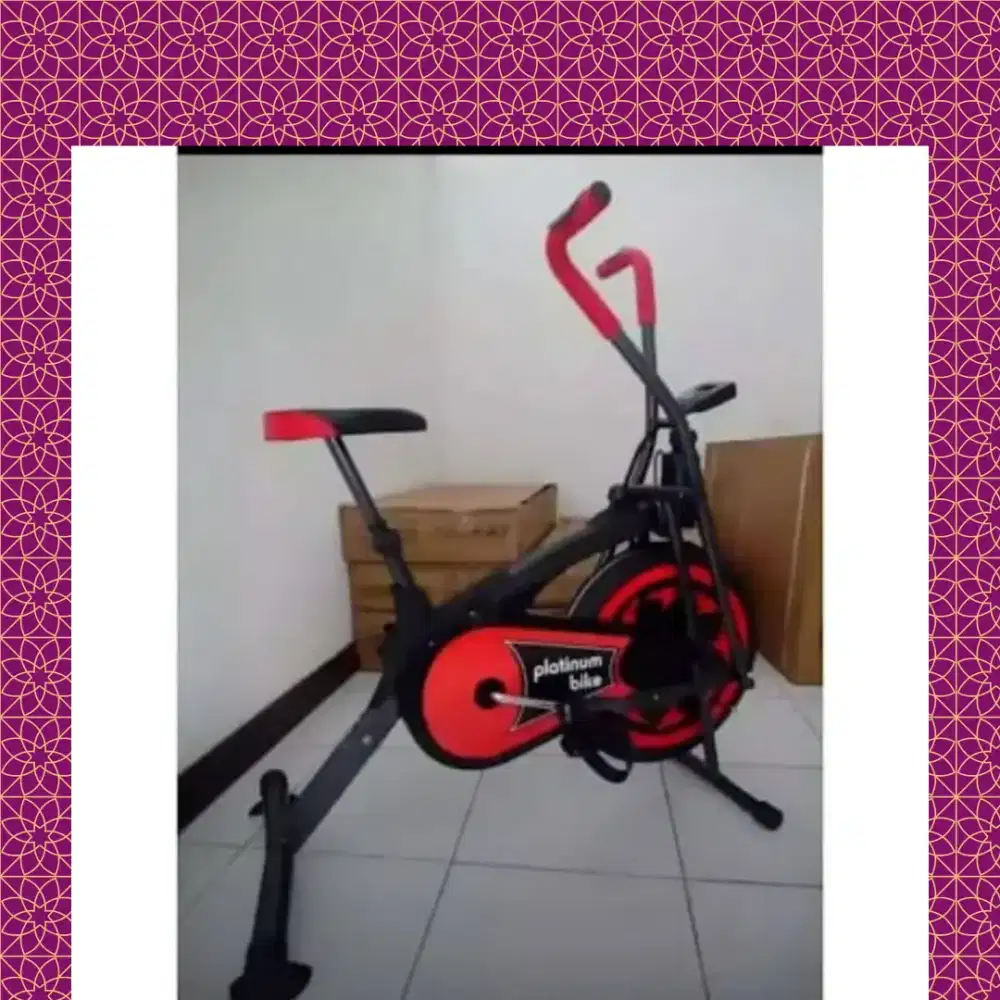 Sepeda statis Platinum Bike alat olahraga YSN-743