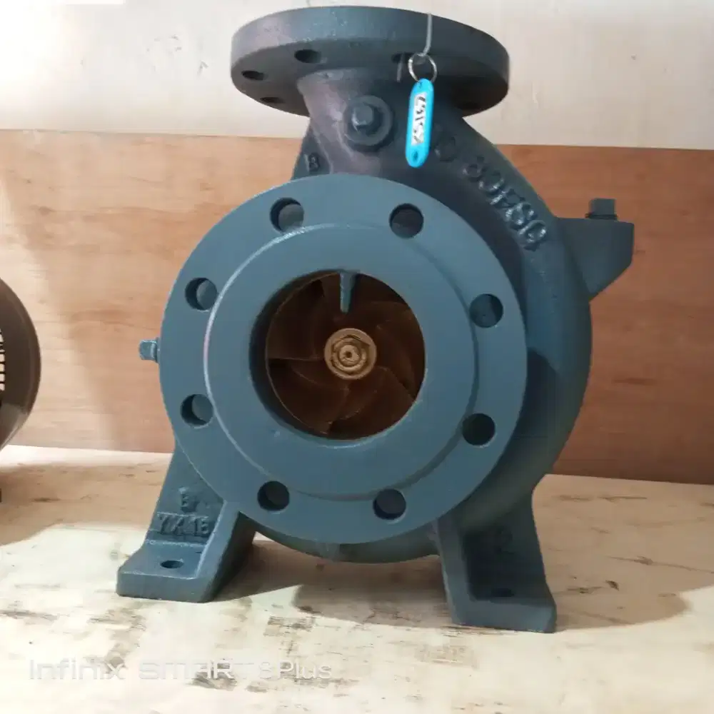 Ebara 100x80 FSG GP / Ebara pump 100x80 FSG Gland Peking