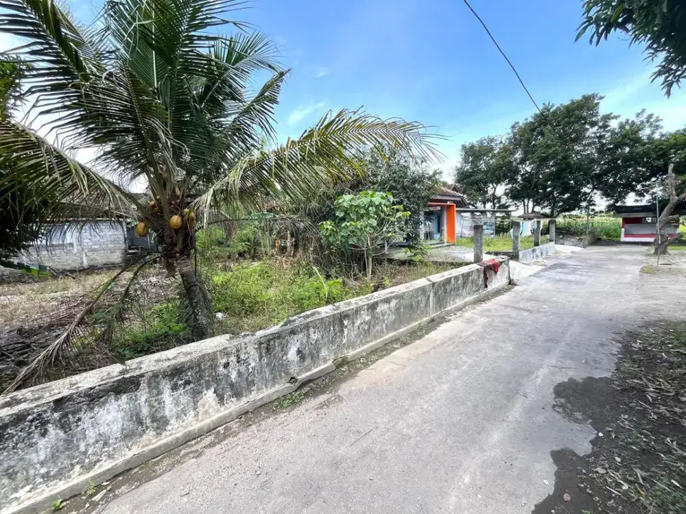 Jual Cepat Tanah SHMP Area Candi Prambanan Jogja