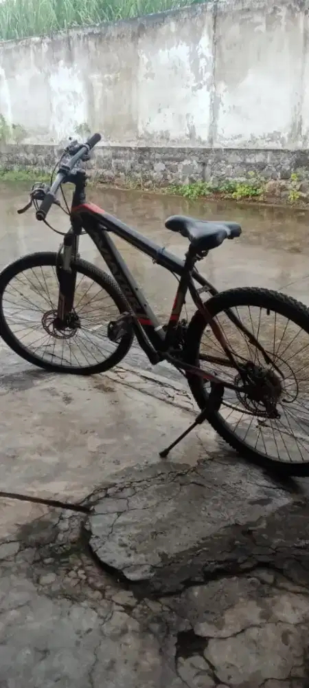 Sepeda gunung aviator