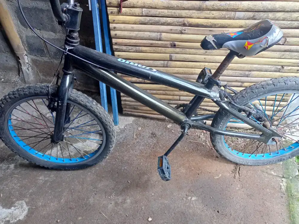 Sepeda BMX Anak Dewasa