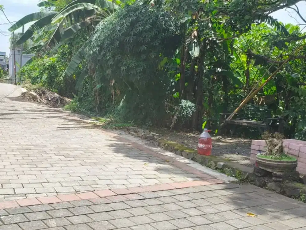 Jual Tanah Los Sungai Di Jalan Arjuna Dalung Utara Badung Bali.Dekat Ke Puspem Badung, Sempidi, Rs Kapal, Buduk, Canggu.