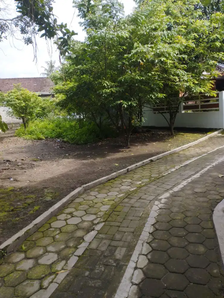 Tanah pekarangan sleman murah