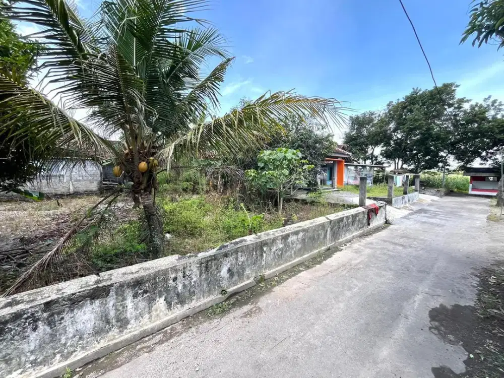 Jual Murah Tanah Samping Candi Prambanan Jogja