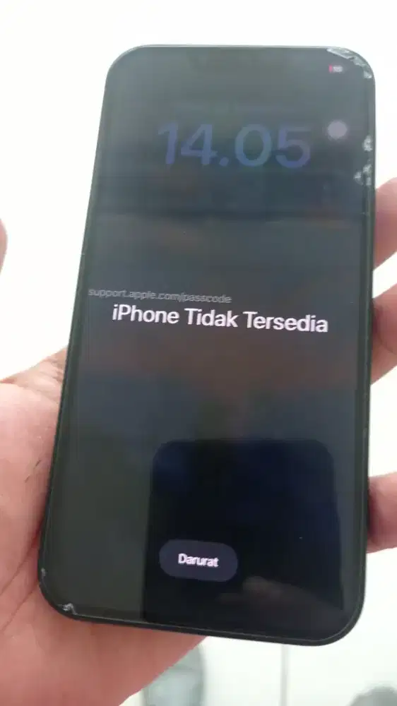 Buat Yg butuh kanibalan