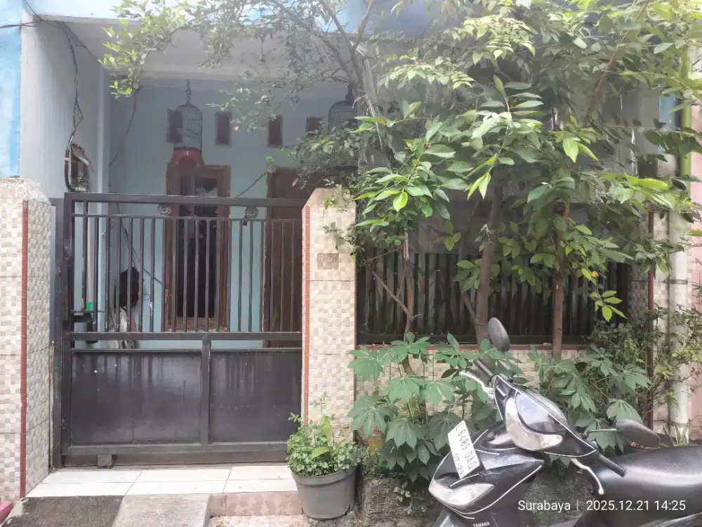 di jual rumah paling Murah Aman