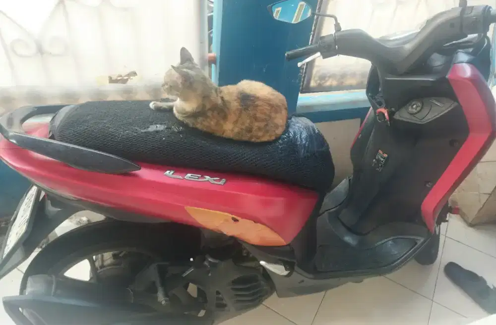 Yamaha Lexi 125 2019