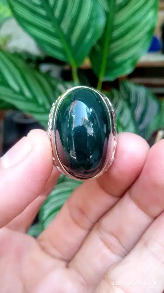 HEJO GARUT BADAR LUMUT KLIMIS LAWASAN