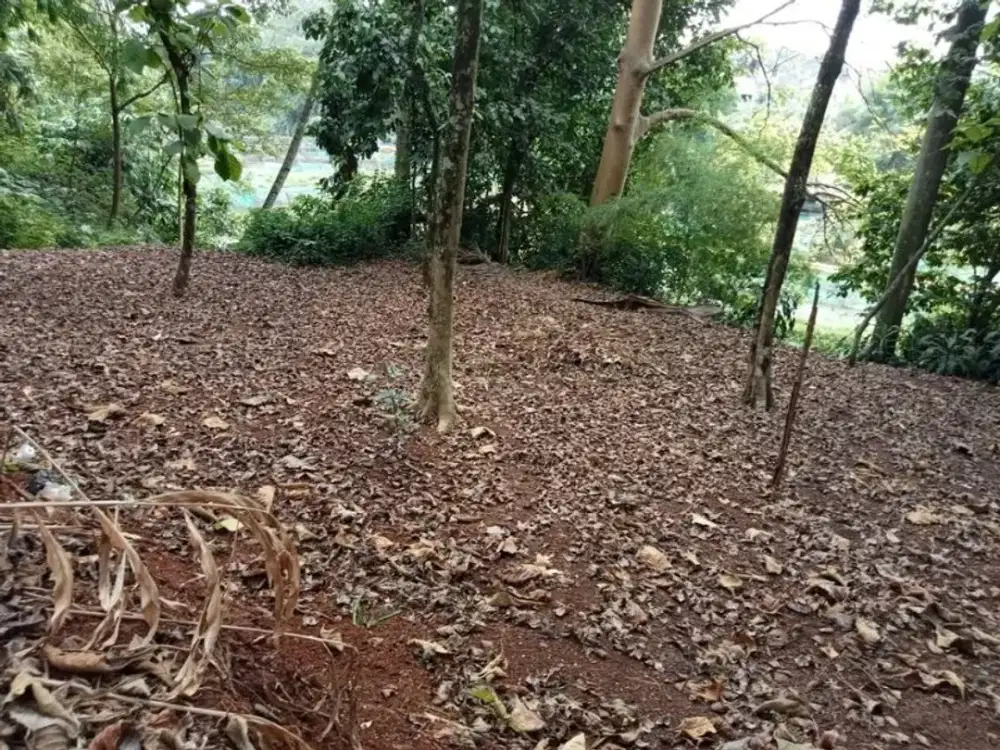 Tanah 1.209 M² Bojong Sempu, Parung Bogor