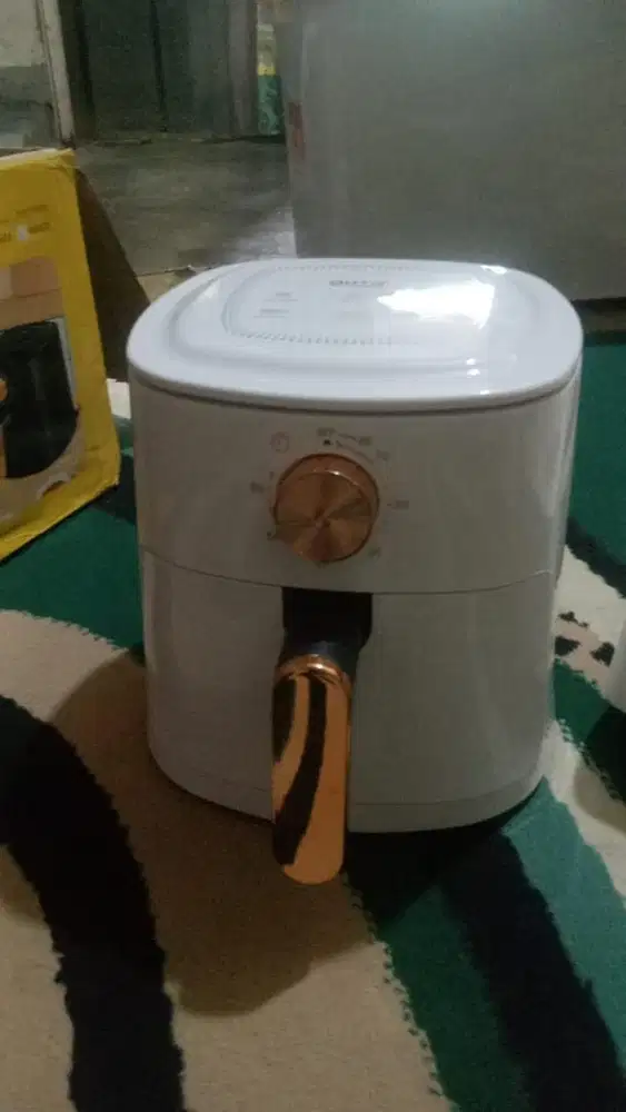 goto airfyer panggangan