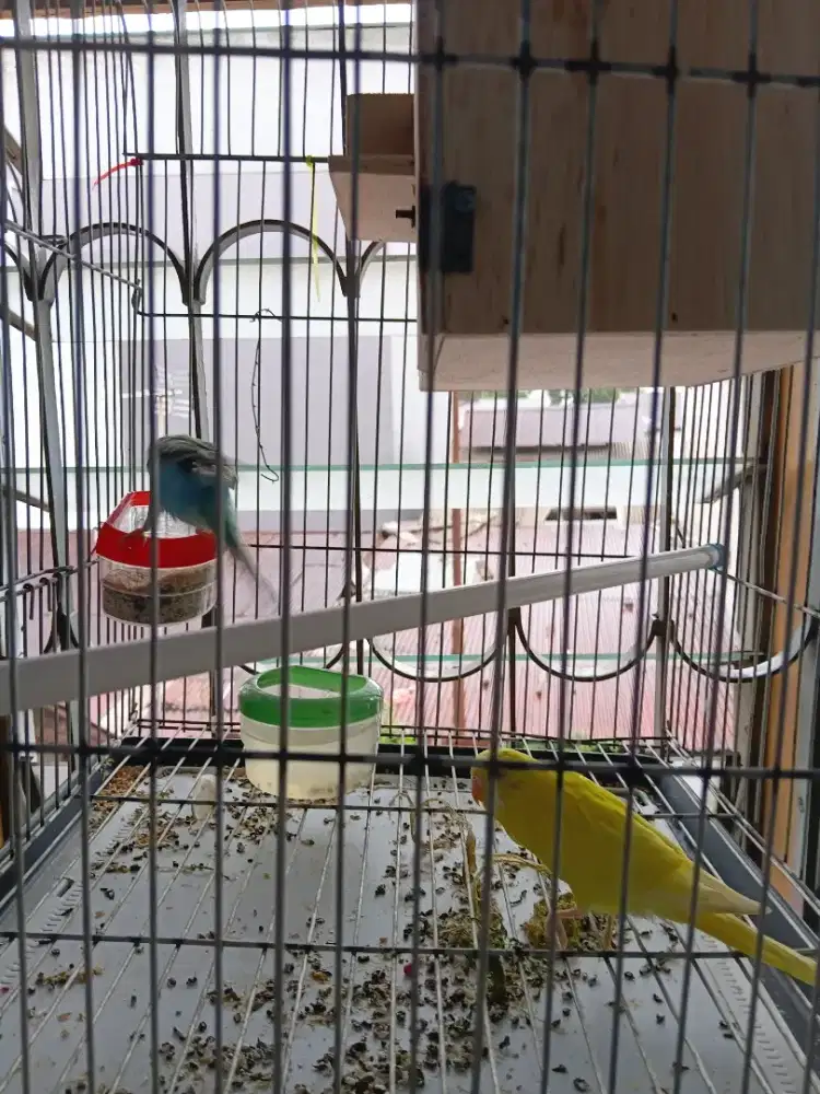 Parkit dijual minat wa