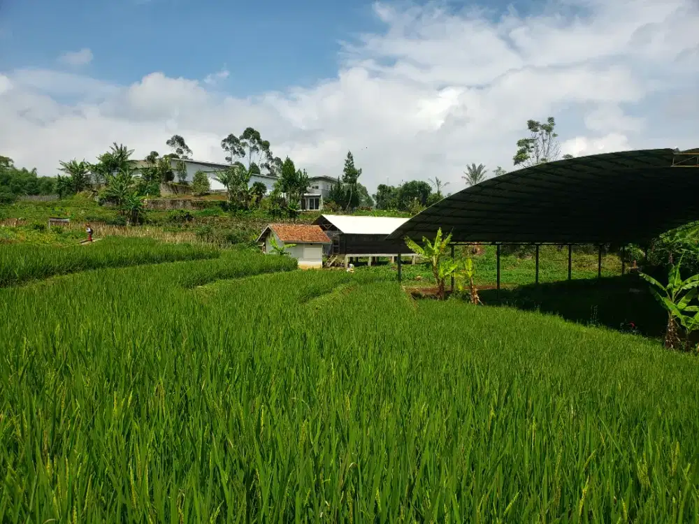 Tanah Luas Dekat Pasar & Wisata Ciwidey – Siap Investasi, Harga Nego