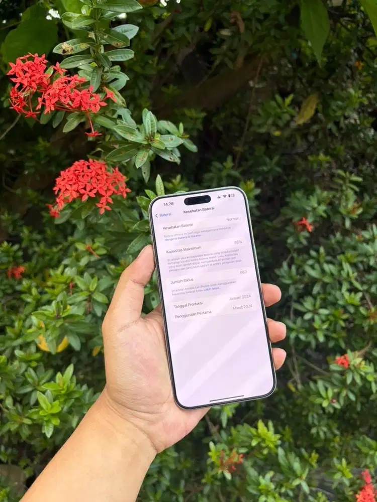 Iphone 14 Pro Max 256gb iBox