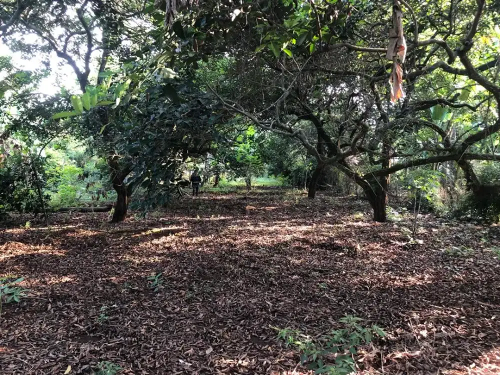 Dijual Lahan Darat Lokasi Strategis di Purwakarta