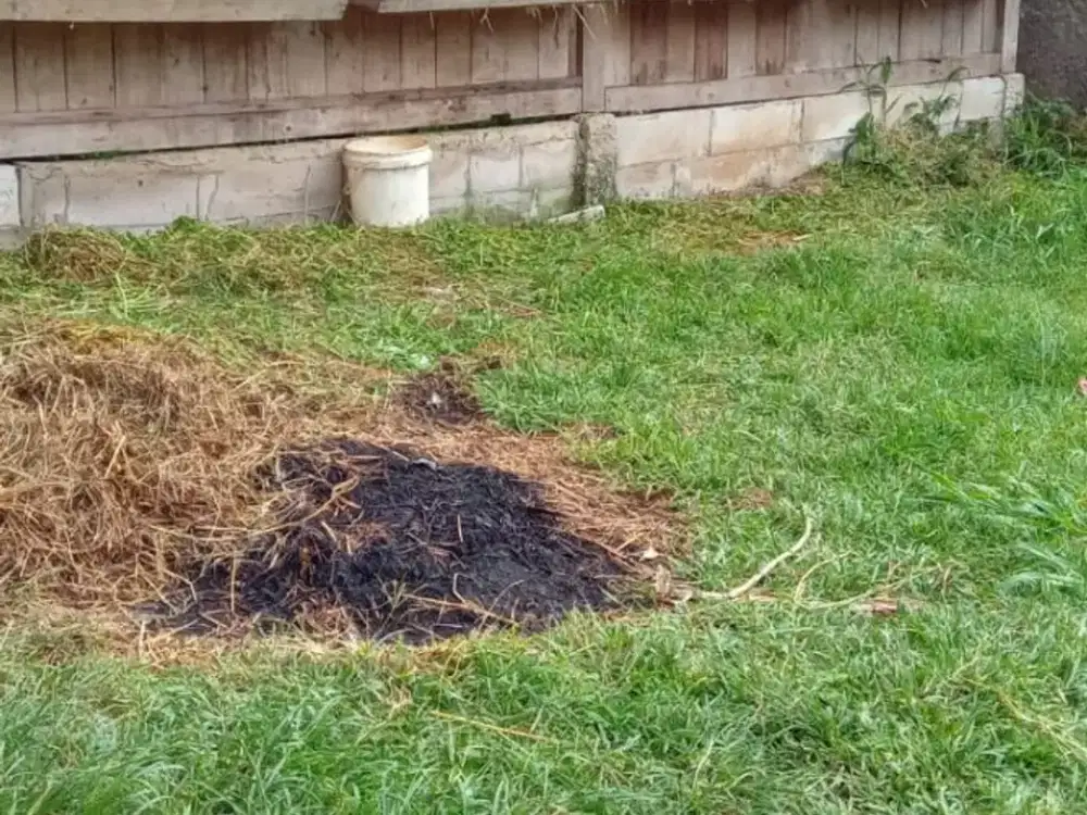 Dijual tanah di gunung Sindur luas 200 M2 permeter Rp 800 rb