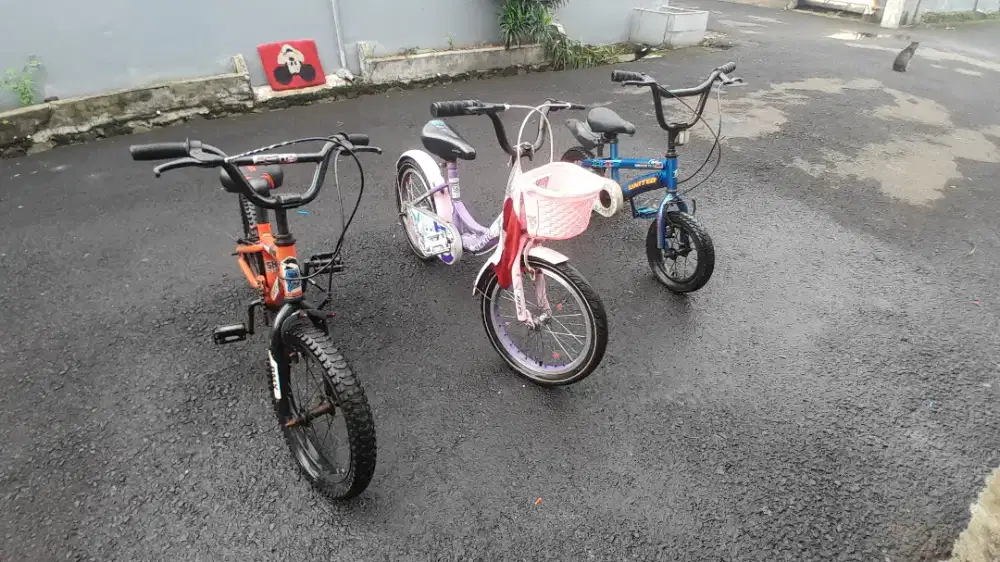 Sepeda Anak Bekas