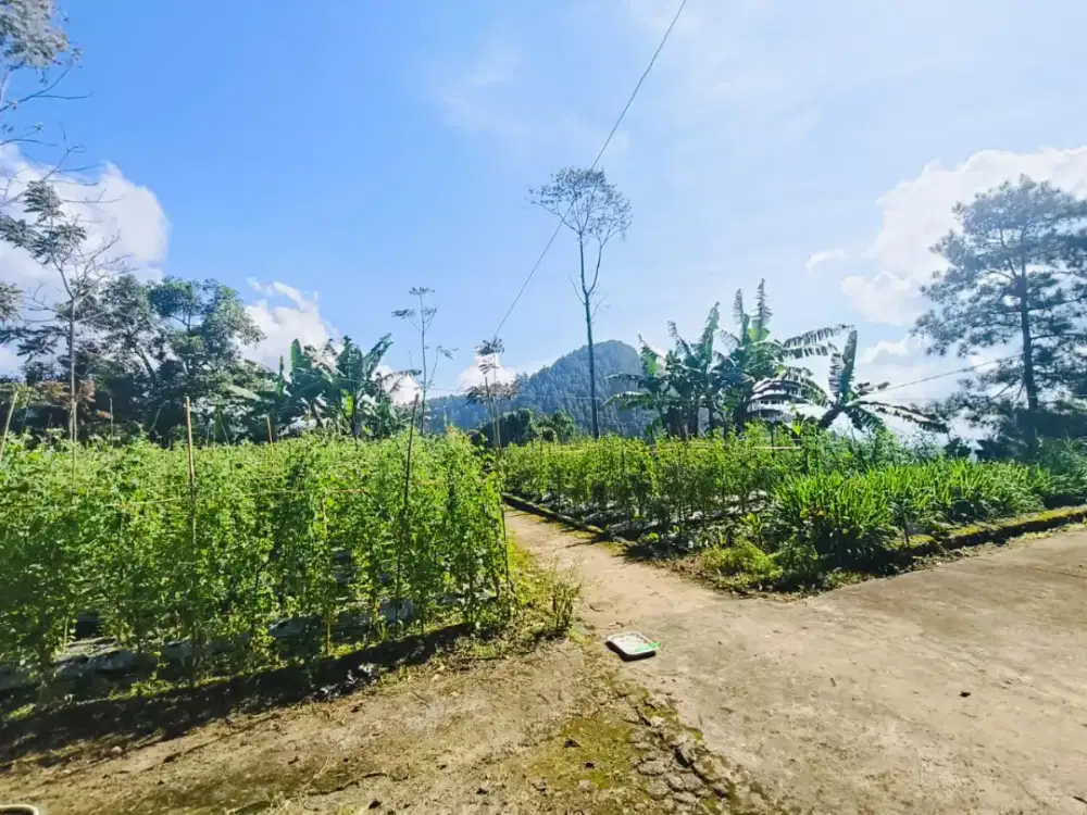 Dijual Tanah murah straegis