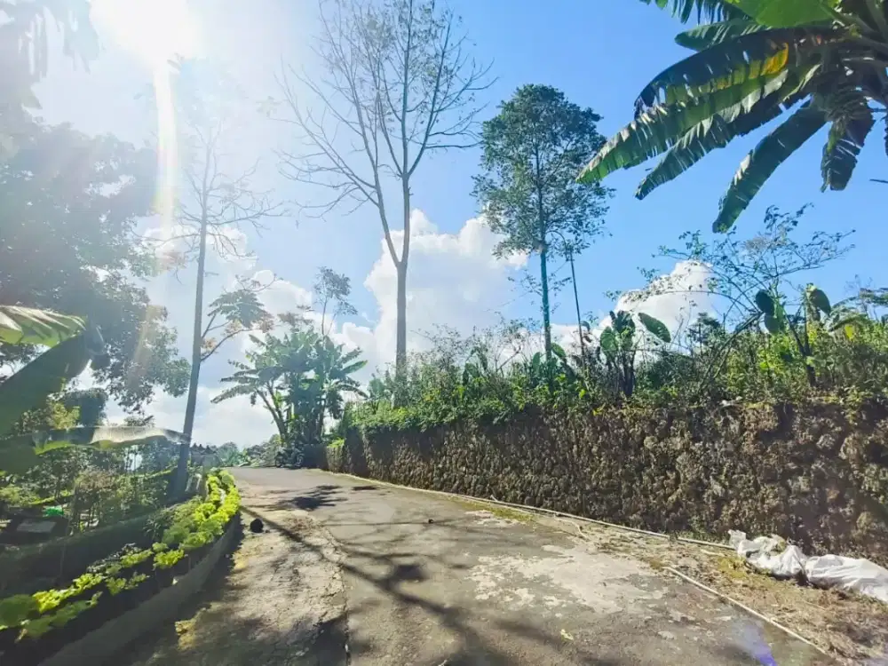 Tanah murah kemuning