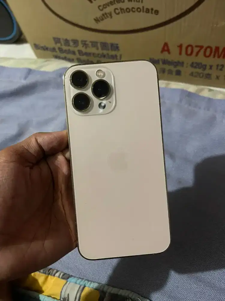 iPhone 13 pro max 256 inter