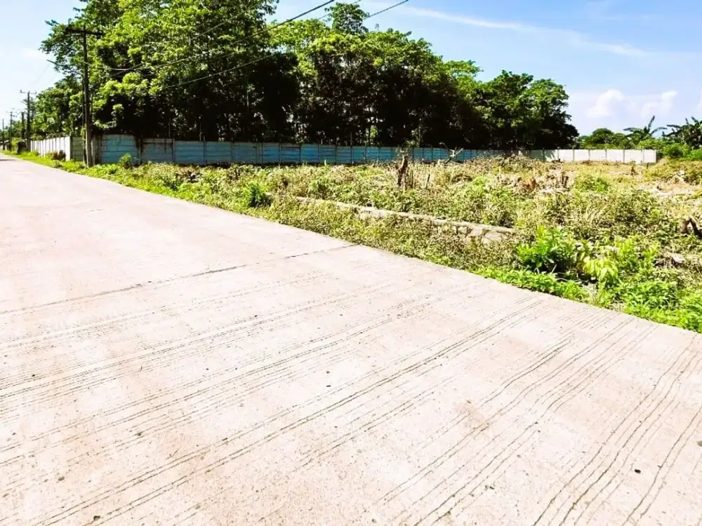 Tanah Murh Cisauk-Akses Jalan 2 Mobil Dekat Hiera