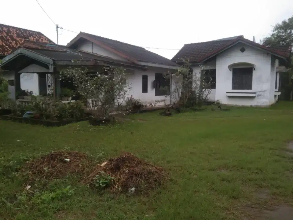 Jual rumah nego tipis