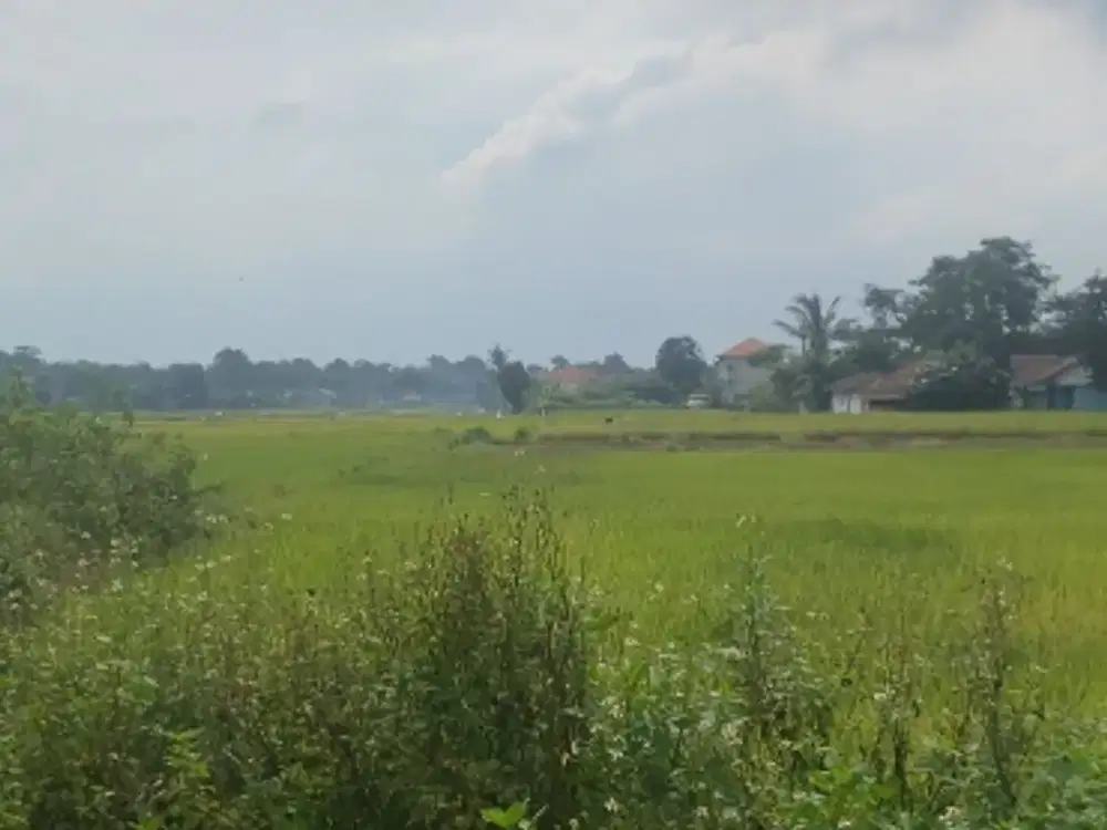 Dijual Kavling Siap Bangun di Legok Banten