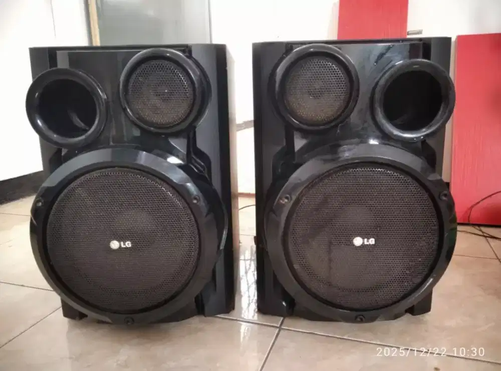 Speaker LG 6 Inch pasif