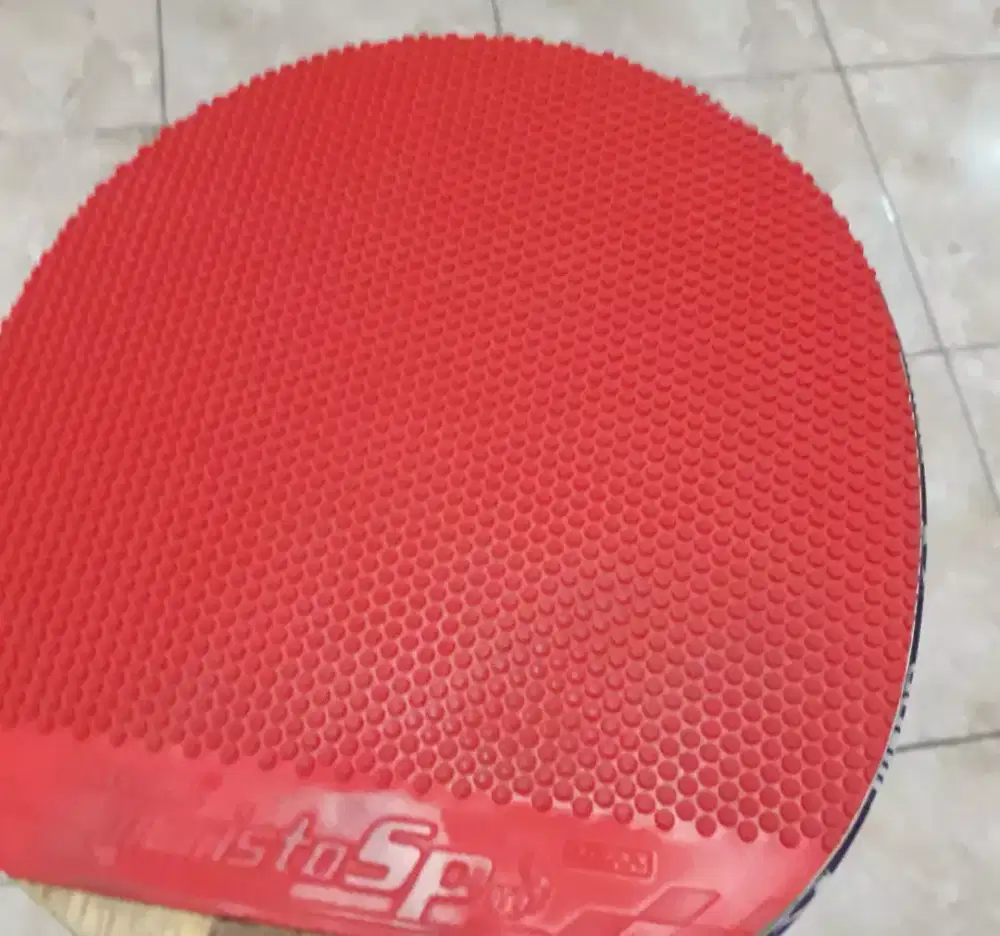 Di jual karet bintik semi.