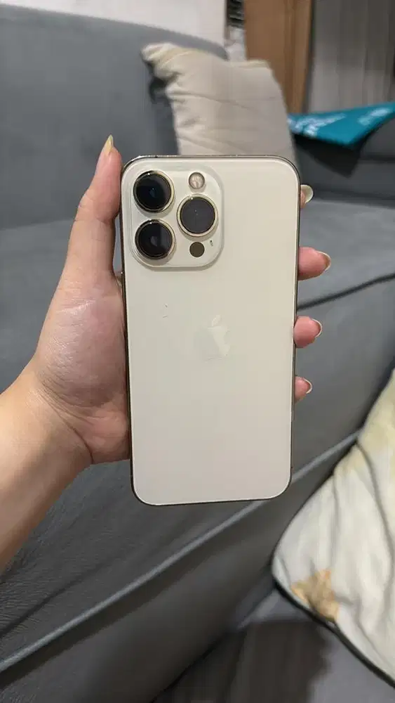 Iphone Pro 256 GB Inter