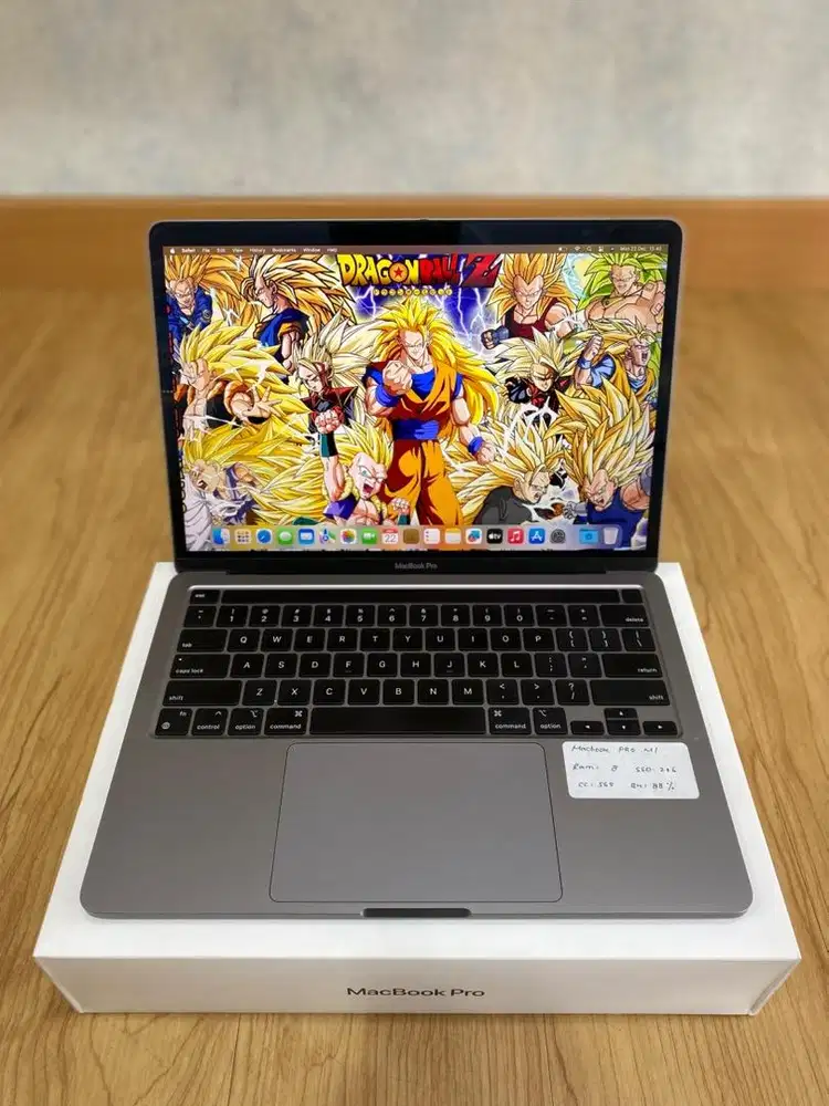 MacBook Pro M1,2020,8/256 GB