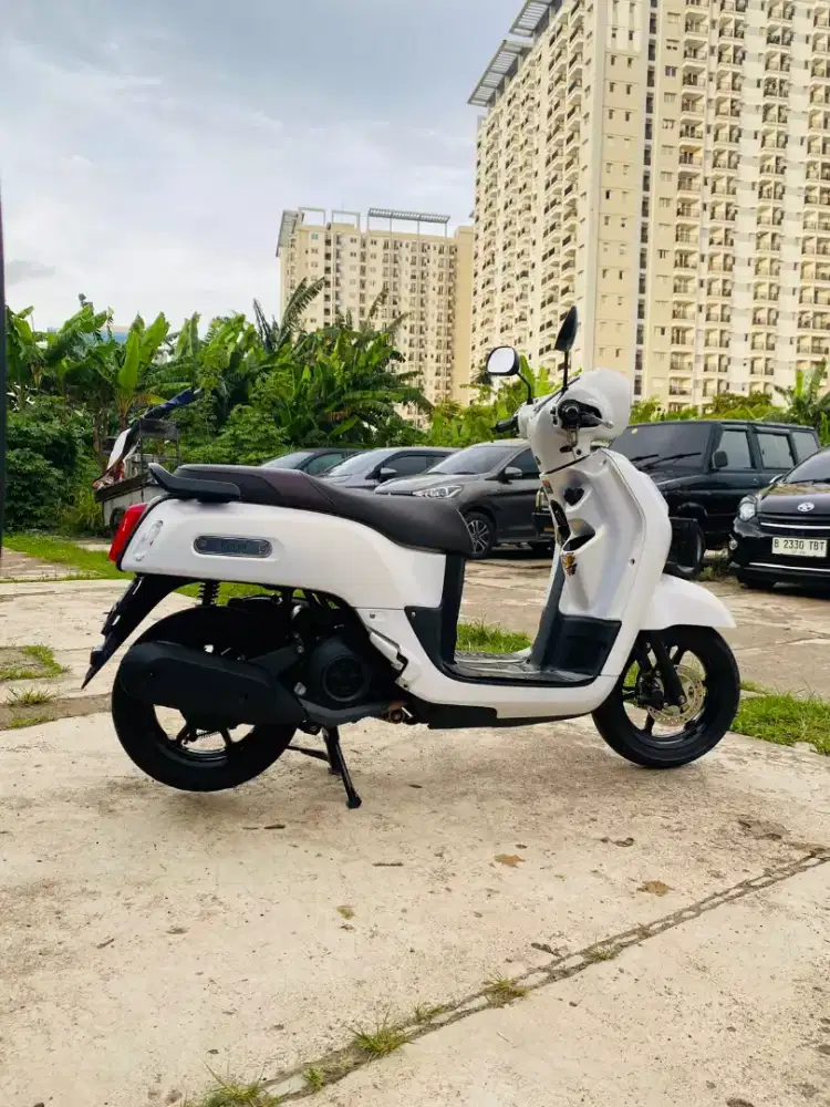 Yamaha Fazzio Fazio Lux 125 Keyless th 2023 Gress mulus