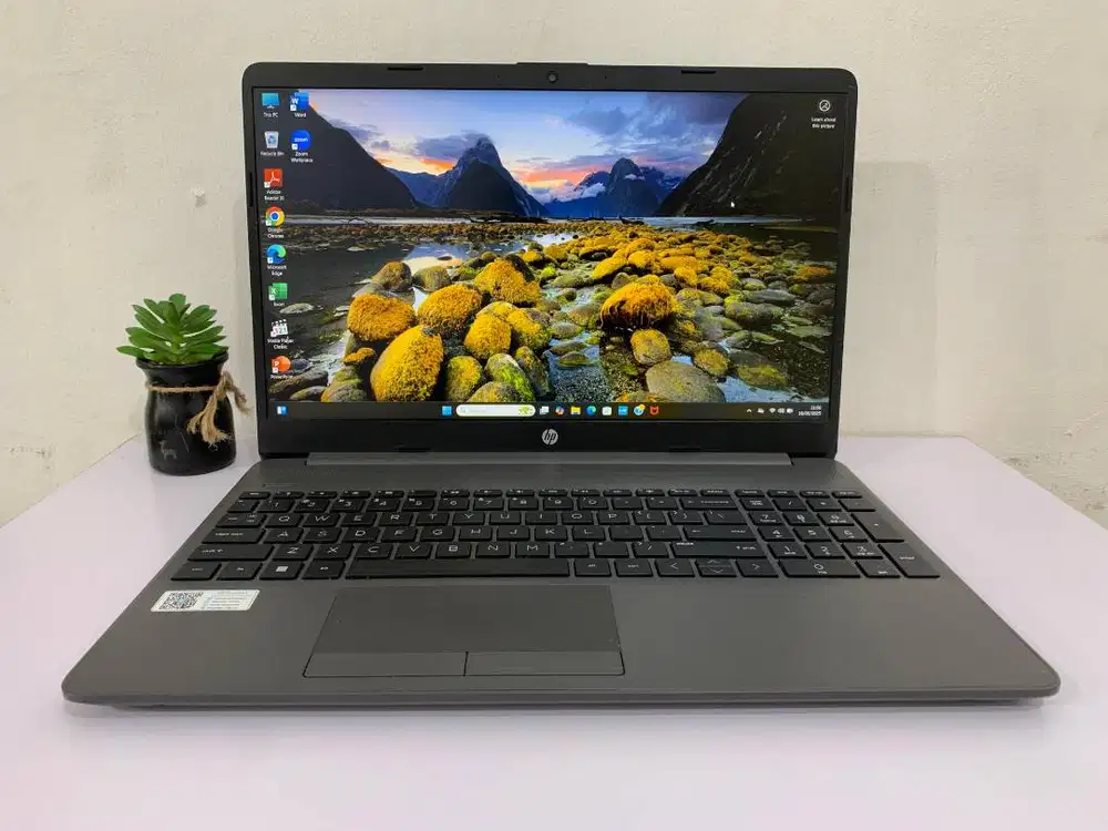 Jual Laptop HP 255 G8 (RAM 8GB/SSD 256GB) AMD Ryzen 5 5500U