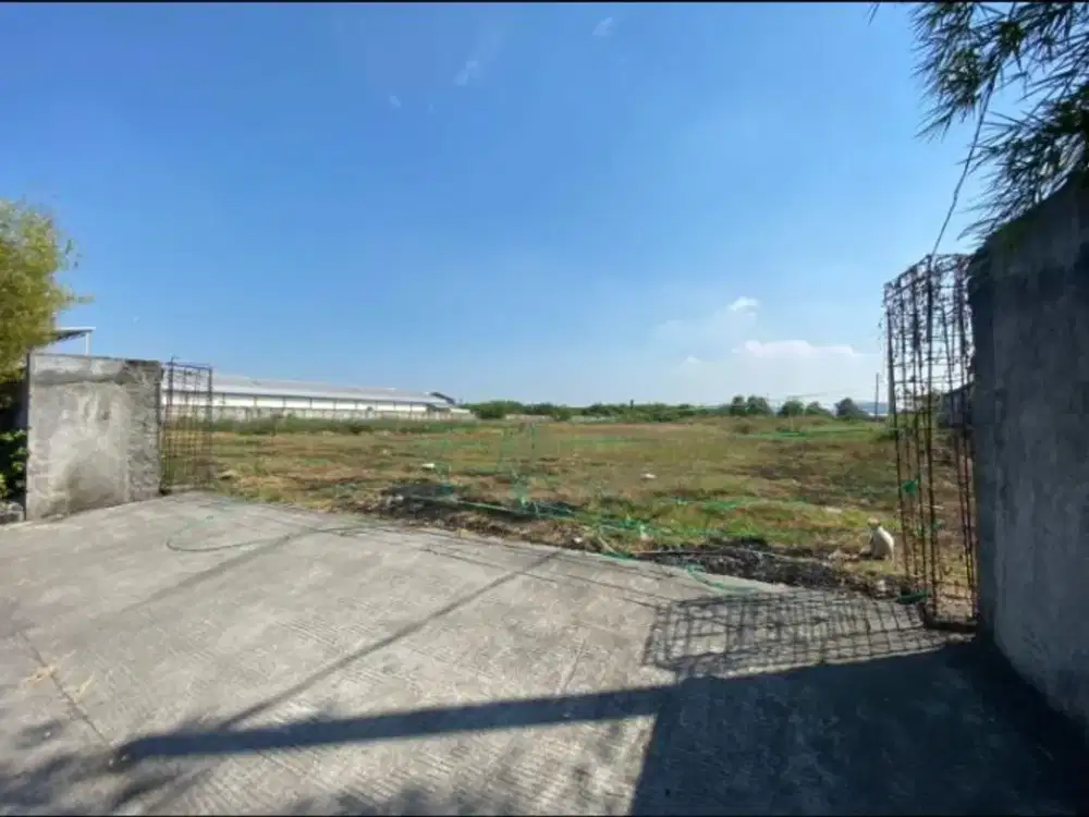 JUAL TANAH OSOWILANGON SBY BARAT