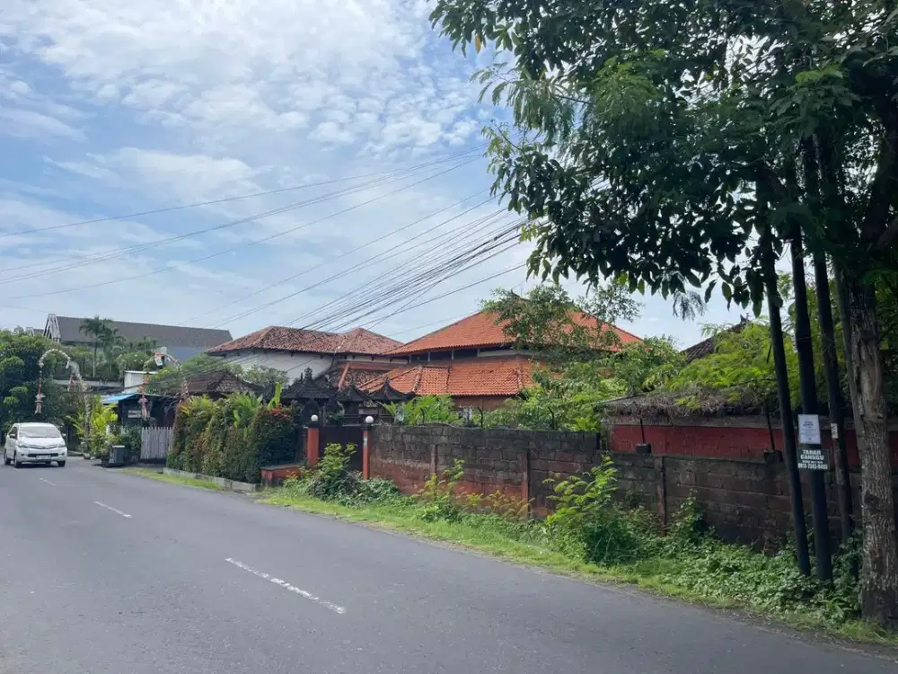 Dijual: Tanah di Jalan Utama dengan Pemandangan Sawah Zona Hijau di Babakan — Canggu, Bali
